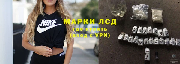 индика Новодвинск