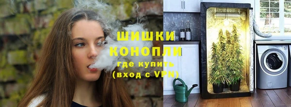 индика Новодвинск